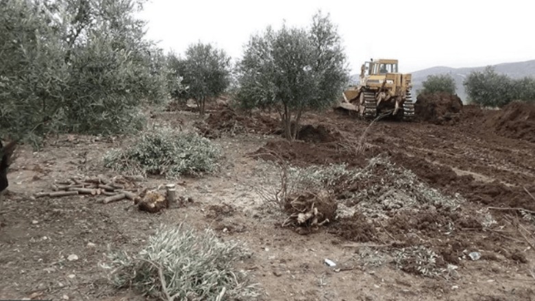 Çekdaran 1.3 milyon darên Efrînê birîne û şewitandine 